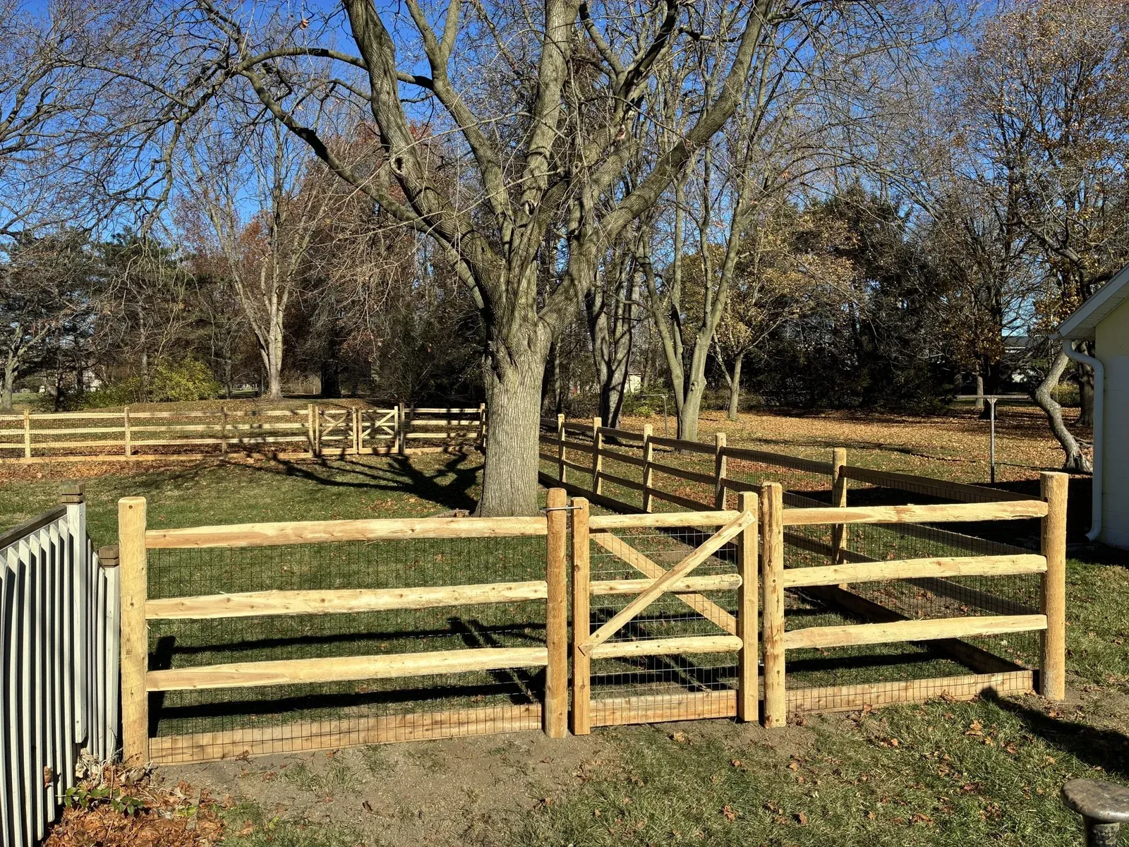 Mesh-backed three-rail wood fence and braced walk gate beside mature trees.