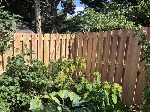Shadowbox · Garden