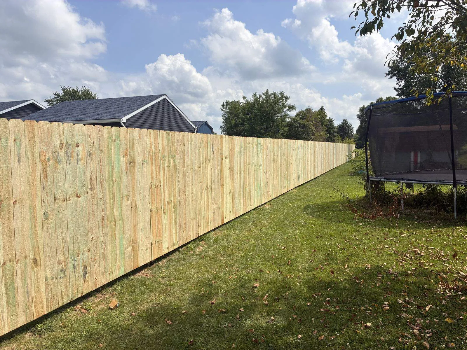 New pine privacy fence along a Toledo yard