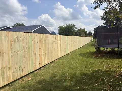 Pine Privacy · Backyard