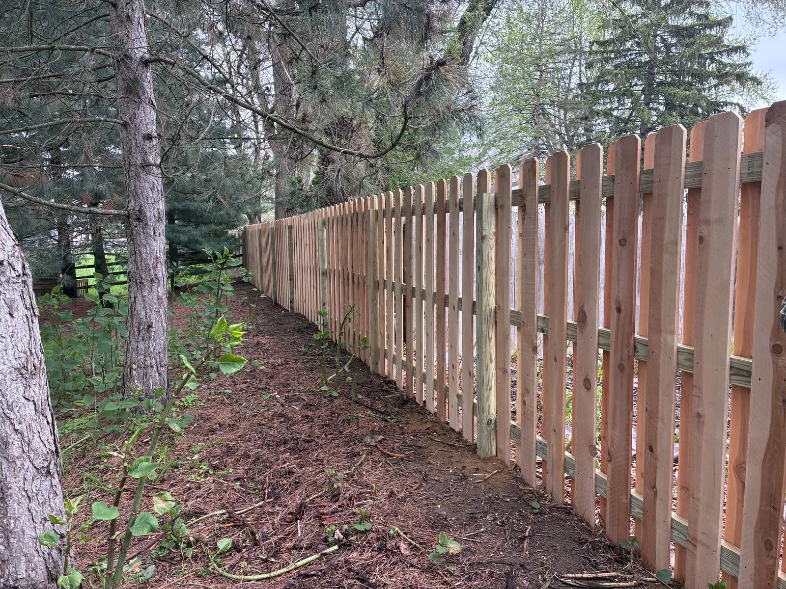 Clean pressure-treated pine privacy fence run